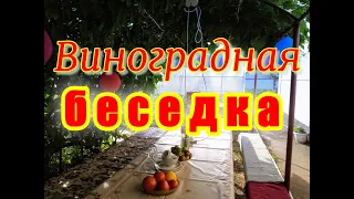 Виноградная беседка своими руками.