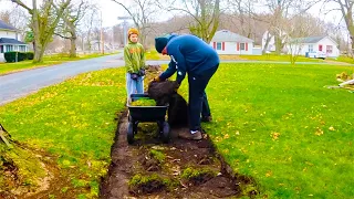 Homeowner STUNNED I uncovered a HIDDEN SIDEWALK buried under the grass!