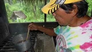 Journey to the Amazon - Jungle Medicine