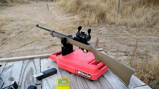 Ruger 10/22 out of the box, cheap dot sight accuracy and range report.