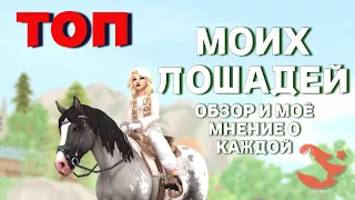 SSO / ТОП ЛОШАДЕЙ В МОЕЙ КОНЮШНЕ / по чуть чуть о каждой! / #starstable #sso #старстейбл