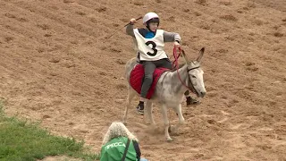 Скачка на ослах 02.06.19 Алматинский ипподром