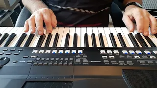 It's a sin ,Cover von den Petshop Boys gespielt auf Yamaha Keyboard PSR SX 600