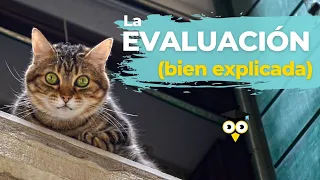 Ejemplo REAL de EVALUACIÓN FORMATIVA (Cómo evaluar con Instrumentos de Evaluación)