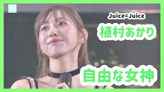 【Juice=Juice】植村あかり ソロパート集【ハロプロ】