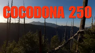 2022 Cocodona 250