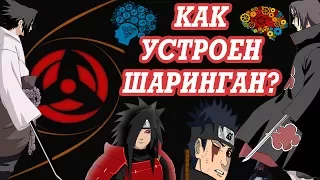 КАК РАБОТАЕТ ШАРИНГАН? [THEORIST OF ANIMESH]