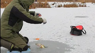 Отвернулся на 20 МИНУТ ... ЩУКА  на ЖЕРЛИЦЫ !!! ПЕРВЫЙ ЛЁД в Беларуси!