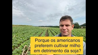 Soja versus Milho - Brasil e EUA
