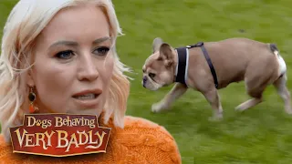 Meet Tilly, Denise Van Outen's Runaway Pup | Dogs Behaving Very Badly