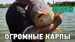 Ultimate Fishing Simulator #Огромные карпы