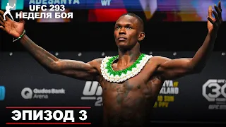 Адесанья пообещал ВЫРУБИТЬ Шона Стрикленда | Закулисье UFC 293   Эпизод 3