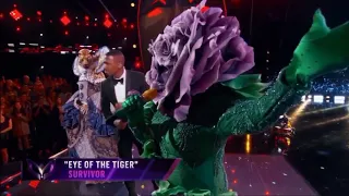 Masked singer flower performance eye of the tiger by survivor