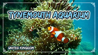 Blue Reef Aquarium - Tynemouth, NewCastle, UK