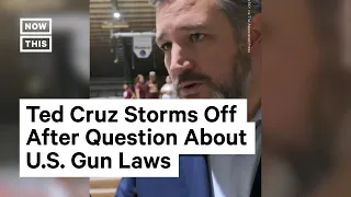 Ted Cruz Gaslights Reporter Over Gun Laws in the U.S.