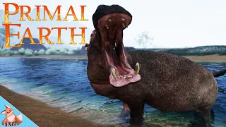 1st look at the HIPPO in PRIMAL EARTH