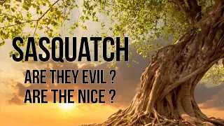 Sasquatch Nice or Evil?