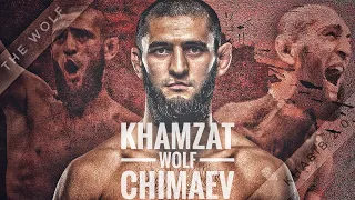 Khamzat Chimaev - The Chechen Wolf - Highlights [HD]