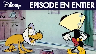 Mickey Mouse : Les Collerettes - Épisode intégral - Exclusivité Disney I Disney