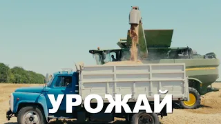 "Завод Двигатель" - поршневые группы для тракторов и комбайнов, наша продукция проверена урожаем!