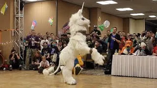 BLFC 2014 Fursuit Dance Competition Highlight Reel