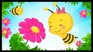 Bzz, Bzz, Bzz - Le chant des abeilles - Chanson pour enfant - Titounis