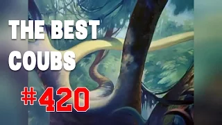 Best COUB #420 - HOT WEEKS VIDEOS