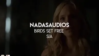 Bird Set Free - Audio - Edit
