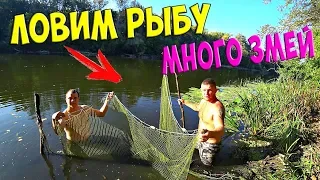 ЛОВИМ РЫБУ НЕВОДОМ! (СЕТЬЮ) МНОГО ЗМЕЙ! Египет, подводный мир!