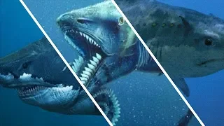 The Biggest Sharks That Ever Existed! / Documentary (English/HD)