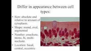 Cytology_Part1