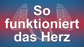 Wie funktioniert das gesunde Herz?