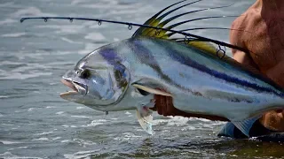 Costa Rica Roosterfish From The Beach (and a hook through my finger)