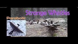 My Bigfoot Story Ep. 227 - Strange Whistle