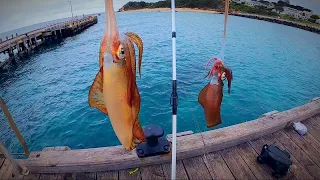 Squid Fishing | WILD Conditions #squidfishing