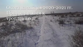 Охота на зайцев 2020-2021