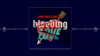 Danny Avila & Ekko City - Bleeding Love (Radio Edit)