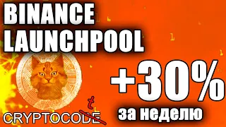 Binance Launchpool полная инструкция Бинанс Ланчпул пассивный доход криптовалюта криптобиржа биткоин