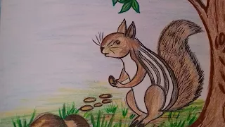 How to draw a squirrel step by step