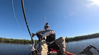 Crystal River Florida Kayak Fishing The Nature Coast - Ozello Back Country