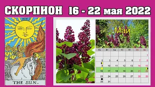 ♏  СКОРПИОН 💫 Таро прогноз на неделю 16 - 22 мая 2022 года 💫 😊 Расклад Таро и Ленорман