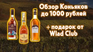 Обзор коньяков до 1000 рублей + подарок от Wlad Club