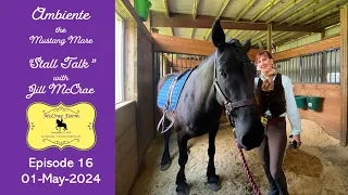 Stall Talk Episode 16 Jill McCrae &  Ambiente 01 May 2024