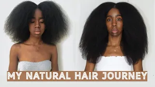 Natural Hair Journey | Neck to Hip Length | Type 4 Hair