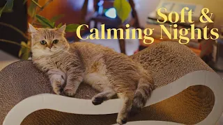 Soft & Calming Nights | a relaxing playlist to listen to before bedtime 💤