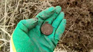 Коп царских монет Николая 2.Поиск весной