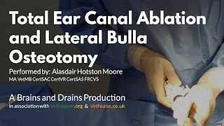 Total Ear Canal Ablation and Lateral Bulla Osteotomy