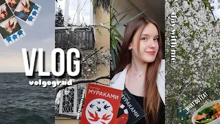 book vlog !📚⭐️ | моя ПОЕЗДКА в другой город, ПОКУПКА КНИГ, новый ЛЮБИМЫЙ АВТОР, наслаждаюсь МОРЕМ ♡