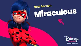 🐞 More adventure | Miraculous | Disney Channel Africa