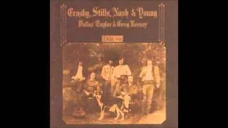 Crosby, Stills, Nash & Young - Almost Cut My Hair (instrumental)